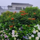 해거름길 이미지