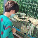 시흥승마힐링체험장 이미지