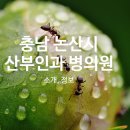 의료법인 백제병원 이미지