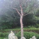 해넘이 숲속마을 이미지