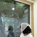 1박 2일 영양여행ㅣ[내돈내산] 국립 검마산 자연휴양림, 영양 자작나무 숲, 별 생태체험관 영양...