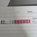 파워정형외과의원 이미지