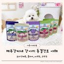 보라네야채 | 제주강씨네 원물 그대로 담은 강아지 동결건조야채 수박무 자색무 콜라비 보라양배추