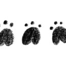 더블유PC방 이미지