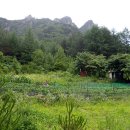 돼지마을숯불구이 이미지