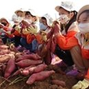 탐스런