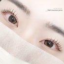 여주-1099 이미지