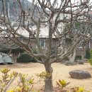 마전게이트볼장 이미지