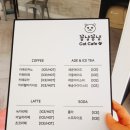 꽁냥꽁냥캣 이미지