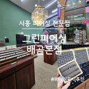 시흥피어싱 전문점, 그린피어싱 배곧본점