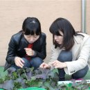 성북농장 이미지