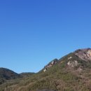 학가산계란