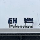태백875
