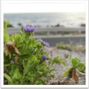 송림2리 이미지