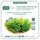 메타론칭 이미지