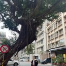 윗선골 | uur 제너 부츠컷 팬츠, 아크 라인 코튼 진 내돈내산