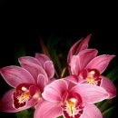 멋진 하루 이미지