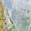 매향농장 이미지