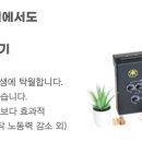 서울산 동물병원 네이버블로그