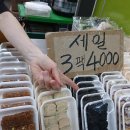 원만쥬벌판 - 송파구 | 원만쥬벌판