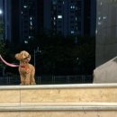 한숲꿈꾸는크레용미술학원 | 난 ,,, 지칠 때 바다를 그려,,, ★ (바다 처음 그려본 직딩이의 퇴근 후 원데이 클래스 후기)