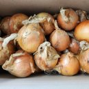 광평농장 이미지