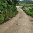 썬공인중개사합동사무소 이미지