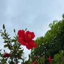 오월생