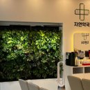 주차편한자연약국 이미지