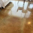 은파호수공원 9-8 | 군산 은파팰리스호텔 솔직리뷰 호텔은 좋았지만 청결은 조금 아쉬움