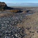 수천목장 이미지