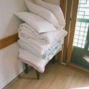 스테이조제 이미지