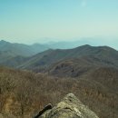 논실농원 이미지