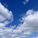 호수공원수변공원축제용 | 세종시 금강공원 호수공원 에어쇼 | 세종시 가볼만한 곳 세종시 한글날 행사 블랙이글스 에어쇼