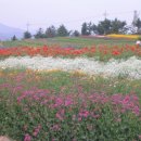 마음농장 이미지