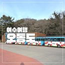 오동도2 | 여수 오동도 동백꽃 근황 2월 방문 후기 동백열차 가격 등대 전망 날씨