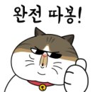 여수양지초등학교 이미지