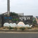 명월다락 | 한립읍 명월다락 아이랑 제주도 한달살기 숙소로 좋았던 돌담집