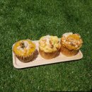 하이펫살롱 이미지