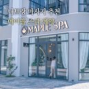 메이플 | 베트남 나트랑 마사지 추천 내돈내산 메이플SPA 후기