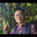 김동식스튜디오 이미지