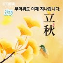 신길소비센타 이미지