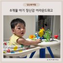 8개월 아기 장난감 보행기 어라운드위고 사용시기 및 후기