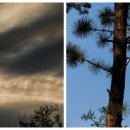 신산5리마을회관 이미지