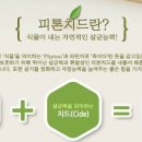 숲테라피 이미지