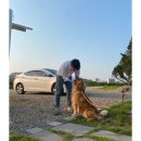 하조대 대구막창