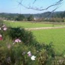 금구명품길 이미지