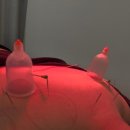 도봉-쌍문-도봉-1362 | 쌍문역 한의원 :: 명문한의원 :: 추나 요법 제대로인 쌍문동 한의원