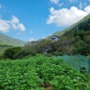 예원캠핑장 이미지