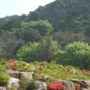 평화황토 이미지